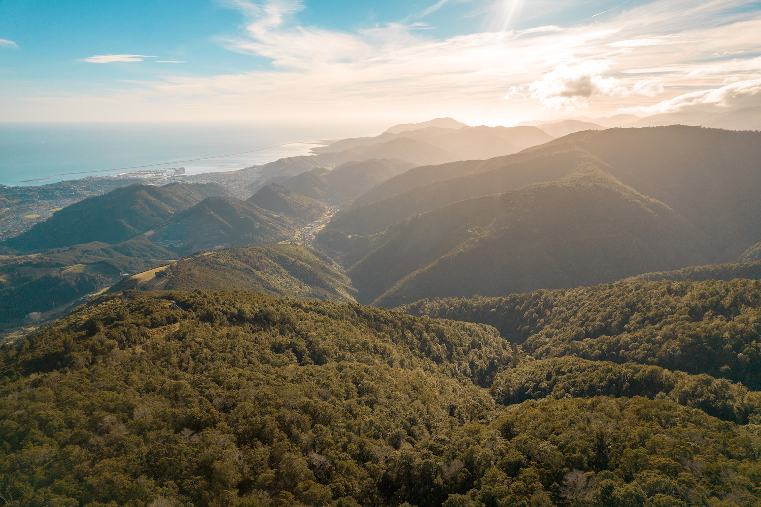 Aerial view of the Brook Waimārama Sanctuary.