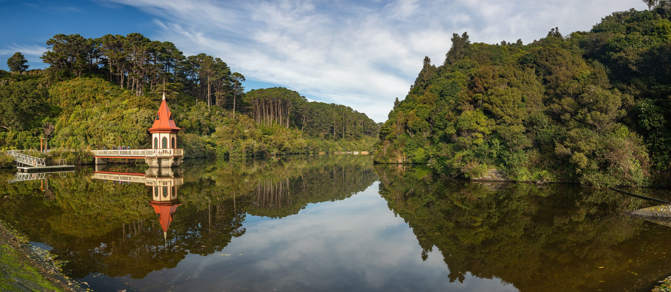 Zealandia Te Māra a Tāne is a safe haven for many of our country's rarest native species. Photo Credit Brendon Doran